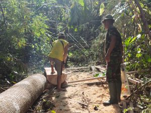 Satgas TMMD Kodim Ketapang dan Warga Cari Kayu Balok di Hutan