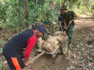 Bangun Jalan, Satgas TMMD Angkut Material dengan Gerobak Tangan