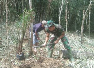 Satgas TMMD Ini Bantu Warga Tanam Sawit