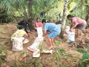 Sertu Samsul, Satgas TMMD Kodim Ketapang Bantu Petani Kelapa