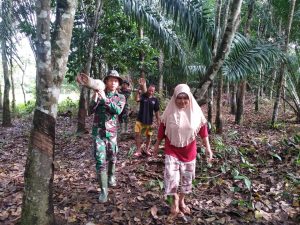 Membantu Orangtua Asuh Mencari Kayu Bakar, Satgas TMMD ke 108