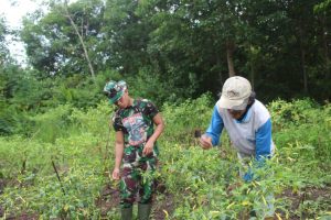 Satgas TMMD Kodim Ketapang Selalu Bantu Warga
