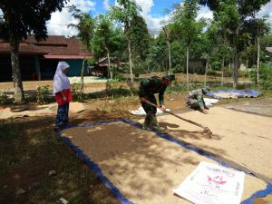 Anggota TMMD ke-108 Bantu Warga Jemur Padi