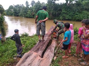 Anggota Satgas TMMD Mahir  Gunakan Chainsaw untuk Potong Pohon Tumbang