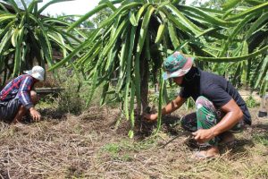 Personel TMMD Kodim Ketapang Ini Giat Bantu Warga