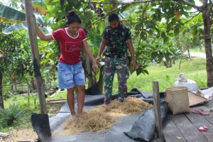 Satgas TMMD Kodim Ketapang Bantu Warga Rontokan Padi