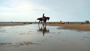 Manfaatkan Instagram, STB Dorong Promosi Pariwisata Asia Tenggara
