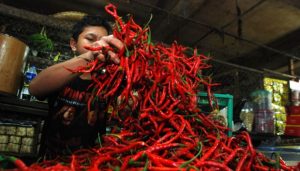 Kejaksaan Usut Dugaan Korupsi APBN di Dinas Tanaman Pangan Sumut