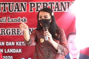 Antisipasi Karhutla, Bupati Landak Imbau Masyarakat tak Bakar Lahan