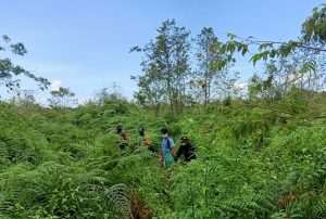 Patroli Karhutla Pasca TMMD Kodim Ketapang