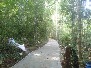 Jalan Rabat Beton TMMD, sudah Dirasakan Warga Desa Beringin Rayo