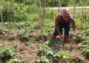 Silaturahmi, Warga Desa Beringin Rayo Kunjungi Satgas TMMD di Asrama