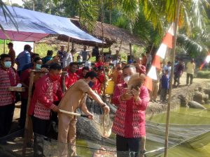 Panen Ikan di Nanga Taman,  Pemkab Sekadau akan Bantu Mesin Pengolah Pakan