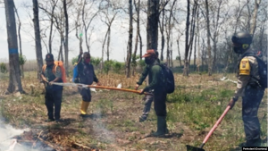 Berharap Hujan Tiba untuk Menekan Karhutla di Jawa