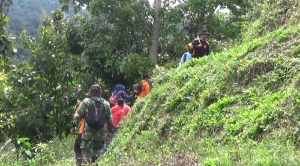 84 Warga Kabupaten Limapuluh Kota, Sumbar Hilang di Hutan