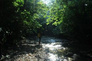 Sejarah Geologis Pulau Siberut: Sejak Awal Terpisah dari 3 Pulau Besar Indonesia