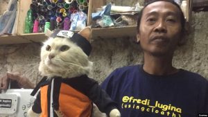 Bisnis Pakaian Kucing: Iseng-iseng Menguntungkan