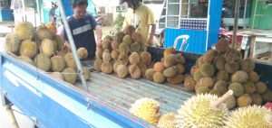 Durian Lahat Banjiri Kotabumi Lampung