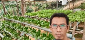 Bertanam Hidroponik Dimasa Pandemi