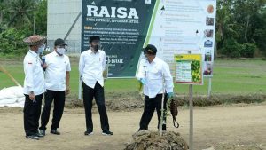 Kementan Akan Buka Lahan Pertanian 20 Ribu Hektare di Kalteng Tahun Ini