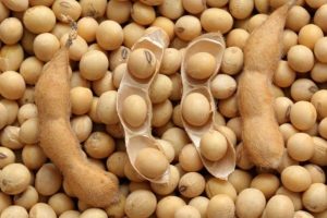 Kedelai Mahal, Pengusaha Tahu-Tempe di Sekadau, Kalbar Berhenti Produksi