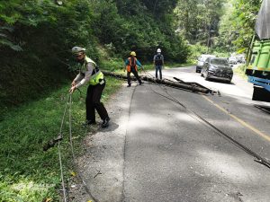 Tiang Listrik Tumbang Timpa Minbus Supir Alami Luka Ringan