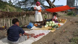Mabes Polri Sebut Ada Penyelewengan Pengelolaan Dana Otsus Papua