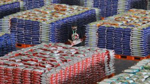 Jokowi Pastikan Beras Petani Diserap Bulog