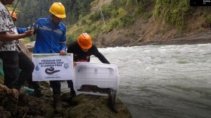 Peneliti Lepas 18 Ikan Sidat untuk Uji Jalur Migrasi di Dam PLTA Poso