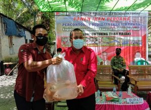 DPRD Bersama Bupati Landak Lakukan Panen Ikan Nila Perdana