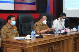 Wabup Sanggau Buka Sosialisasi dan Grand Lounching Pendataan Keluarga 2021