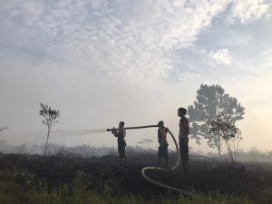 Polda Kalbar Tetapkan 8 Tersangka Kasus Karhutla