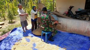 Dukung Ketahanan Pangan Desa Satgas TMMD 110/ Kodim 1201 Bantu Warga Bersihkan Padi
