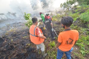 Ditinggal Pulang, Sekitar Empat Hektare Lahan Ikut Terbakar