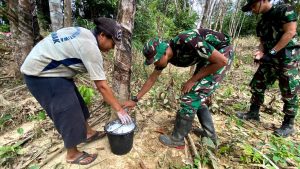 Dukung Ketahanan Ekonomi Satgas TMMD 110 Kodim Mempawah Dampingi Petani Karet