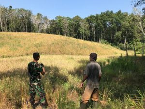 Edukasi Satgas TMMD 110/ Kodim 1201 Petani Tolok Tak Mau Bakar Lahan Lagi