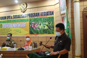 Sekda Kalbar Soroti Masalah Bahan Pangan Pemicu Inflasi
