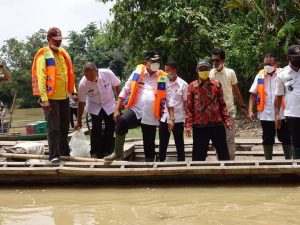 Bupati Lamteng Terbar 10 Ribu Benih Ikan Nila di Sungai