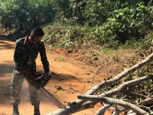 Satgas TMMD 110 Kodim 1201 Singkirkan Pohon Tumbang