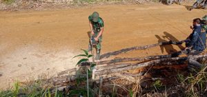 Satgas TMMD 110 Kodim 1201 Bantu Warga Potong Kayu Bakar