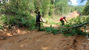 Anggota Satgas TMMD Kodim 1201 Bersihkan Bambu Tumbang