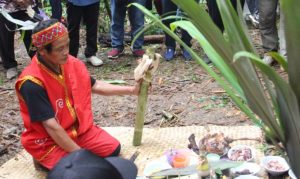 Ritual Adat Sambut Hari Jadi Kota Sanggau