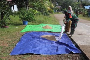 Satgas TMMD Kodim 1206/PSB Bantu Warga Jemur Padi