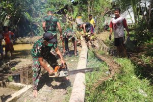 Anggota Satgas TMMD Kodim 1206/PSB Bantu Warga Potong Pohon Kelapa