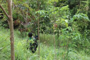 Menyapa Warga di Kebun, Satgas TMMD Ke 110 Lakukan Komsos