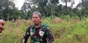 Satgas TMMD ke 110 Siap Bantu Penyiapan Lahan Kegiatan Pangan