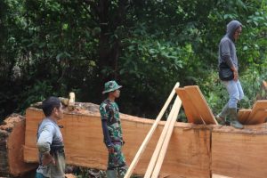 Satgas TMMD Ke 110 Kodim 1206/Psb Bantu Potong Kayu Untuk Acara Nikahan