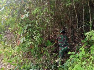 Adanya Program TMMD ke 110 Kodim 1206/PSB, Beban Warga Menjadi Ringan