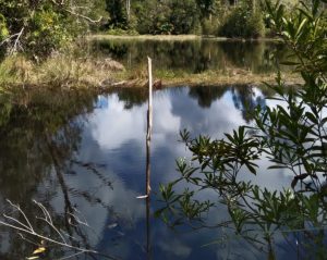 Danau Lumut Bukit Zimat Sakti Satgas TMMD 110 Putussibau Arahkan Pemuda Berkarya