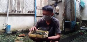 Harapan Pemuda Feri Suhendra ke TMMD Ke 110 Untuk Tanaman Buce Phanlandra